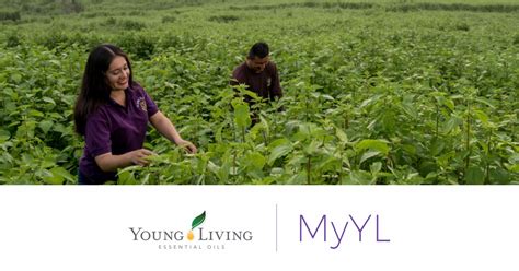 Young Living MyYL.com